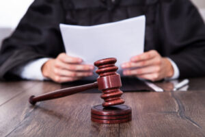 Judicial Review